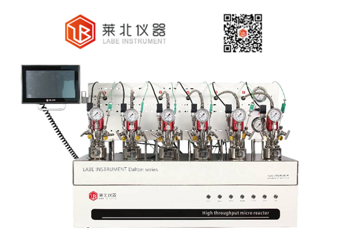Dalton 6機械攪拌平行反應釜