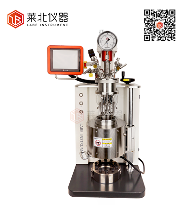 LB1000 機(jī)械攪拌反應(yīng)釜